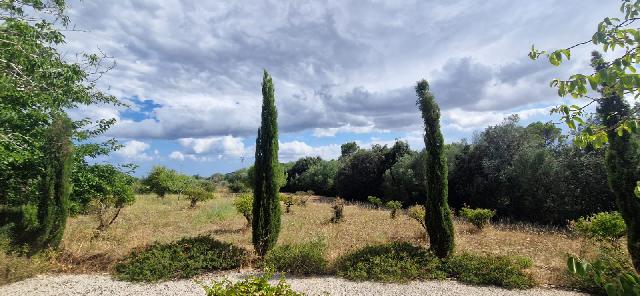 Imagen 10 Inmueble 307096 - Casa Rústica en venta en Manacor / Finca con encanto a pocos minutos de Manacor