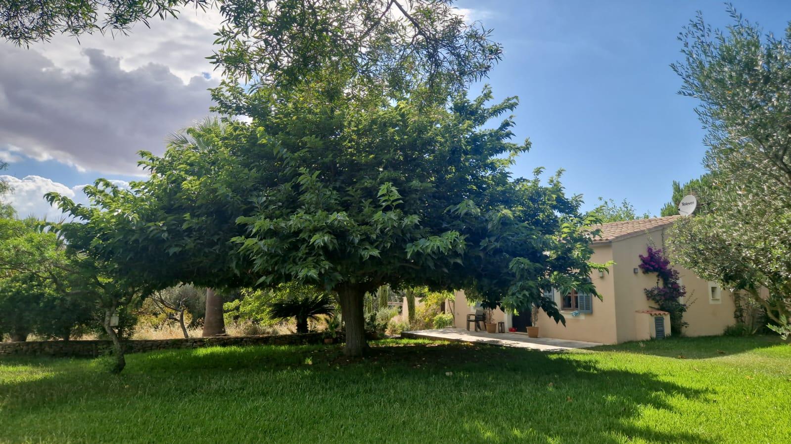 Imagen 14 Casa Rústica en venta en Manacor / Finca con encanto a pocos minutos de Manacor