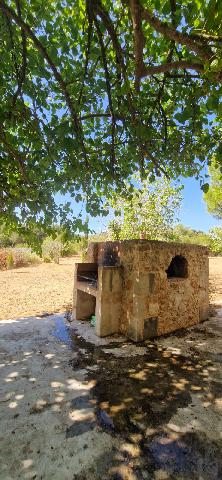 Imagen 22 Inmueble 307096 - Casa Rústica en venta en Manacor / Finca con encanto a pocos minutos de Manacor