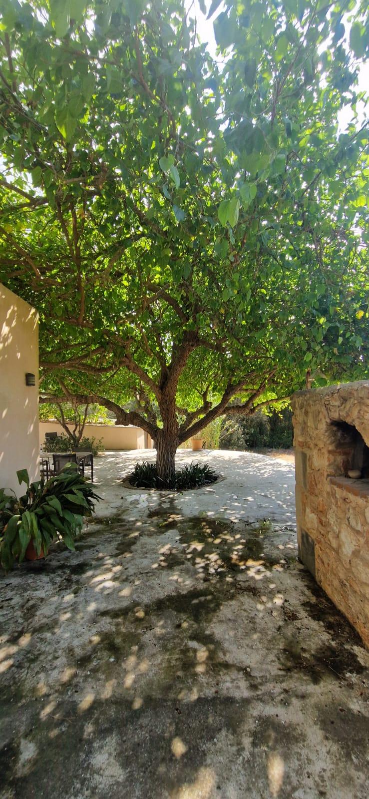 Imagen 23 Casa Rústica en venta en Manacor / Finca con encanto a pocos minutos de Manacor