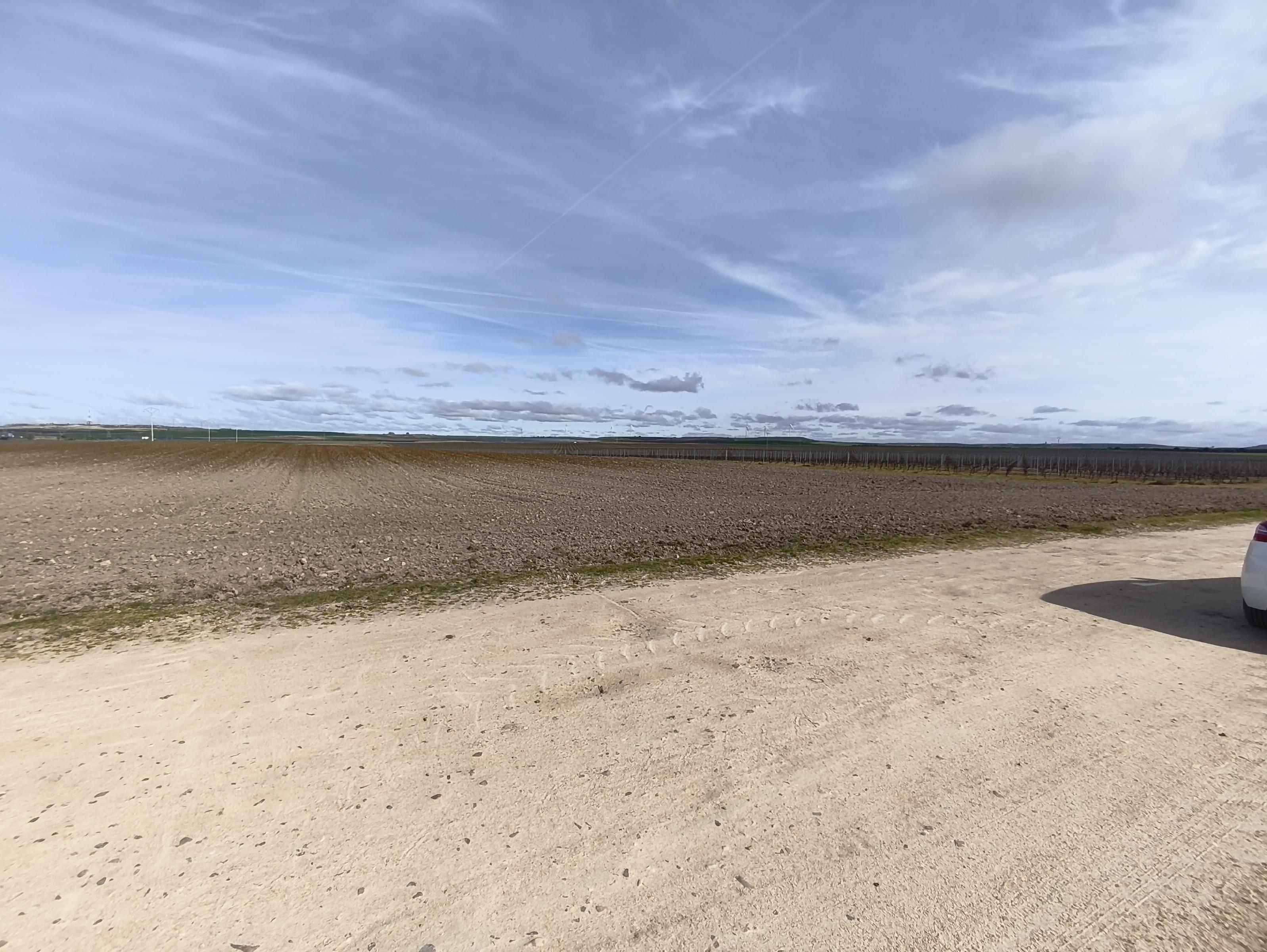 Imagen 3 Solar Rústico en venta en Medina Del Campo / En el Término de la Farola, detrás de las Claras.
