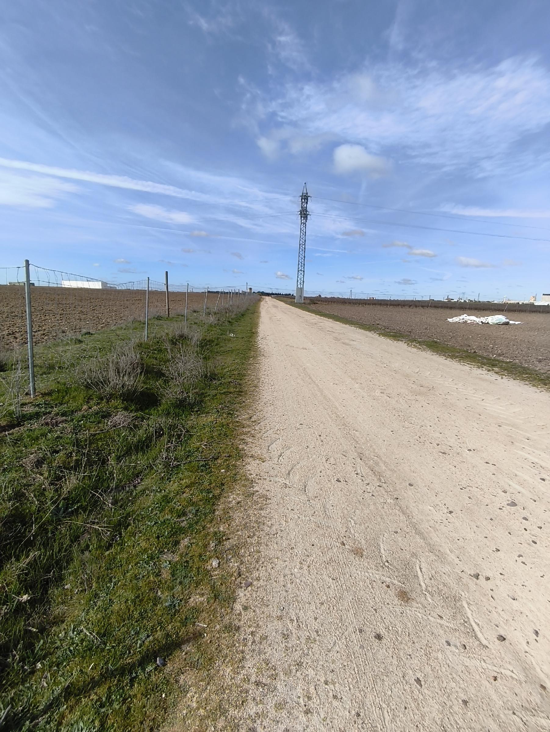 Imagen 6 Solar Rústico en venta en Medina Del Campo / En el Término de la Farola, detrás de las Claras.