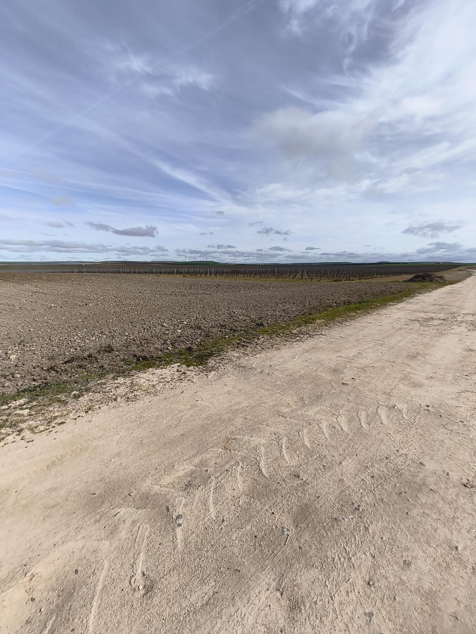 Imagen 7 Solar Rústico en venta en Medina Del Campo / En el Término de la Farola, detrás de las Claras.