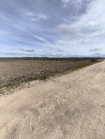 Imagen 7 Inmueble 301955 - Solar Rústico en venta en Medina Del Campo / En el Término de la Farola, detrás de las Claras.