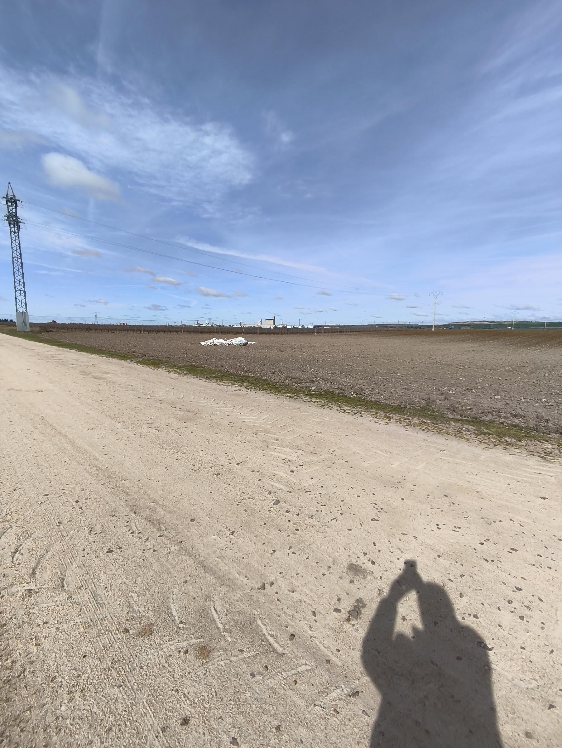 Imagen 8 Solar Rústico en venta en Medina Del Campo / En el Término de la Farola, detrás de las Claras.