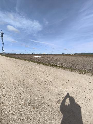 Imagen 8 Inmueble 301955 - Solar Rústico en venta en Medina Del Campo / En el Término de la Farola, detrás de las Claras.