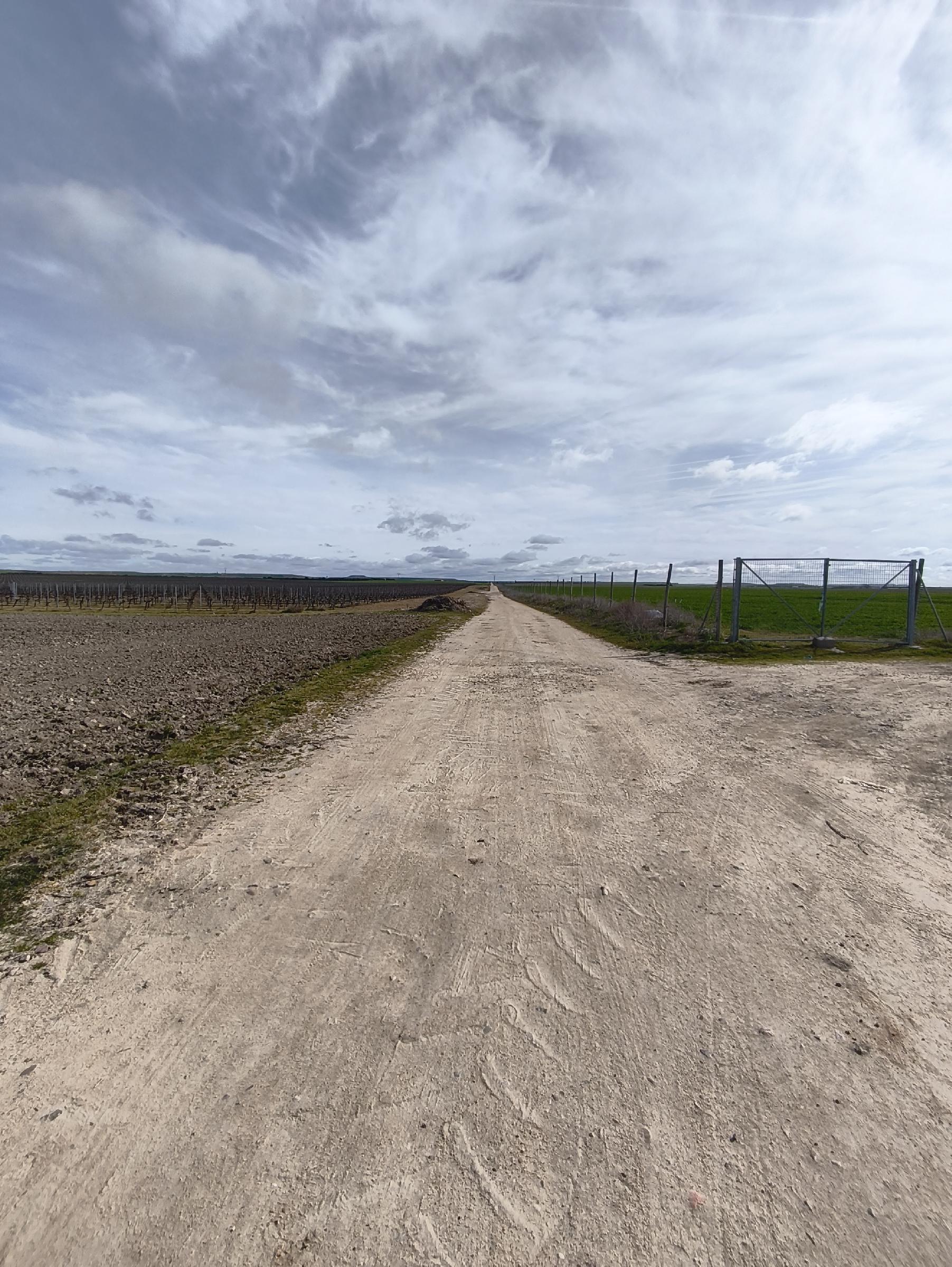 Imagen 9 Solar Rústico en venta en Medina Del Campo / En el Término de la Farola, detrás de las Claras.