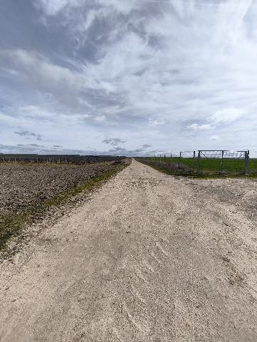 Imagen 9 Inmueble 301955 - Solar Rústico en venta en Medina Del Campo / En el Término de la Farola, detrás de las Claras.