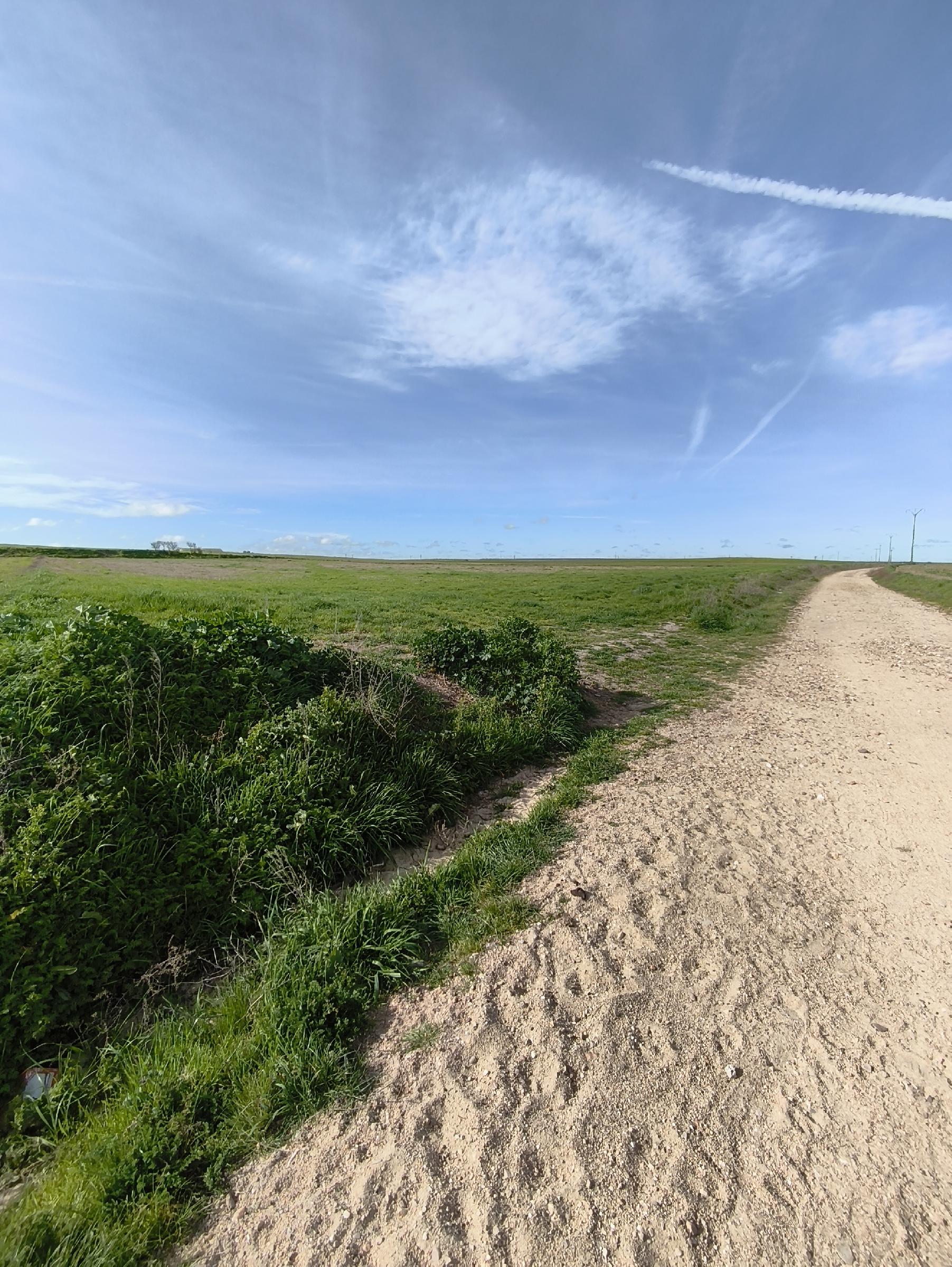 Imagen 5 Solar Rústico en venta en Medina Del Campo / Al lado de la calle Las Damas y cerca de la C...