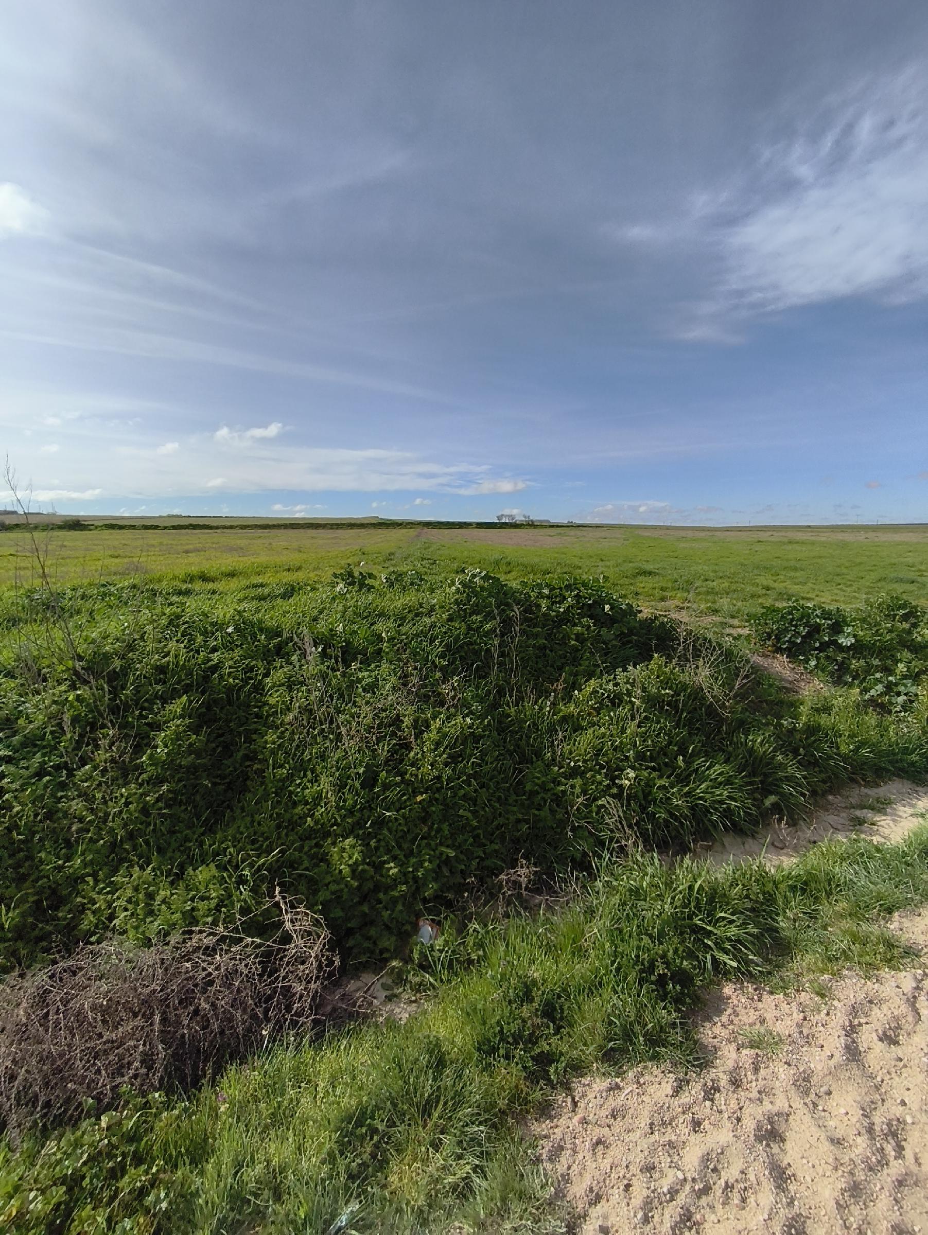 Imagen 7 Solar Rústico en venta en Medina Del Campo / Al lado de la calle Las Damas y cerca de la C...