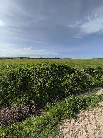 Imagen 7 Inmueble 301962 - Solar Rústico en venta en Medina Del Campo / Al lado de la calle Las Damas y cerca de la C...