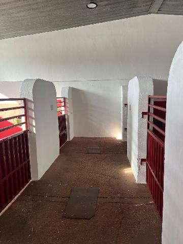 Imagen 19 Inmueble 303988 - Casa Rústica en venta en Corcos / Ubicado en plena Denominación de Origen Cigales.