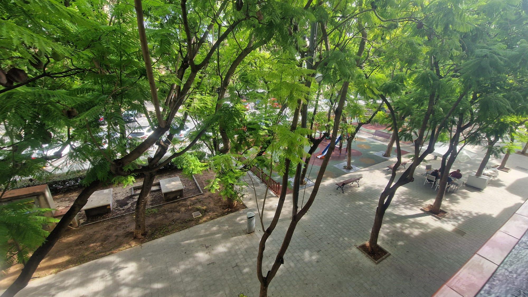 Imagen 24 Piso en venta en Sant Carles De La Ràpita / Tocant a la plaça Carles ///