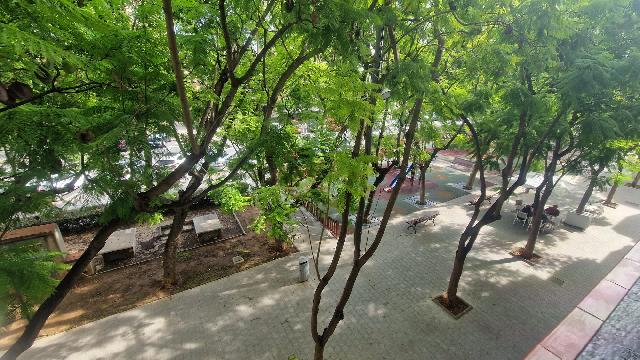 Imagen 24 Inmueble 306462 - Piso en venta en Sant Carles De La Ràpita / Tocant a la plaça Carles ///
