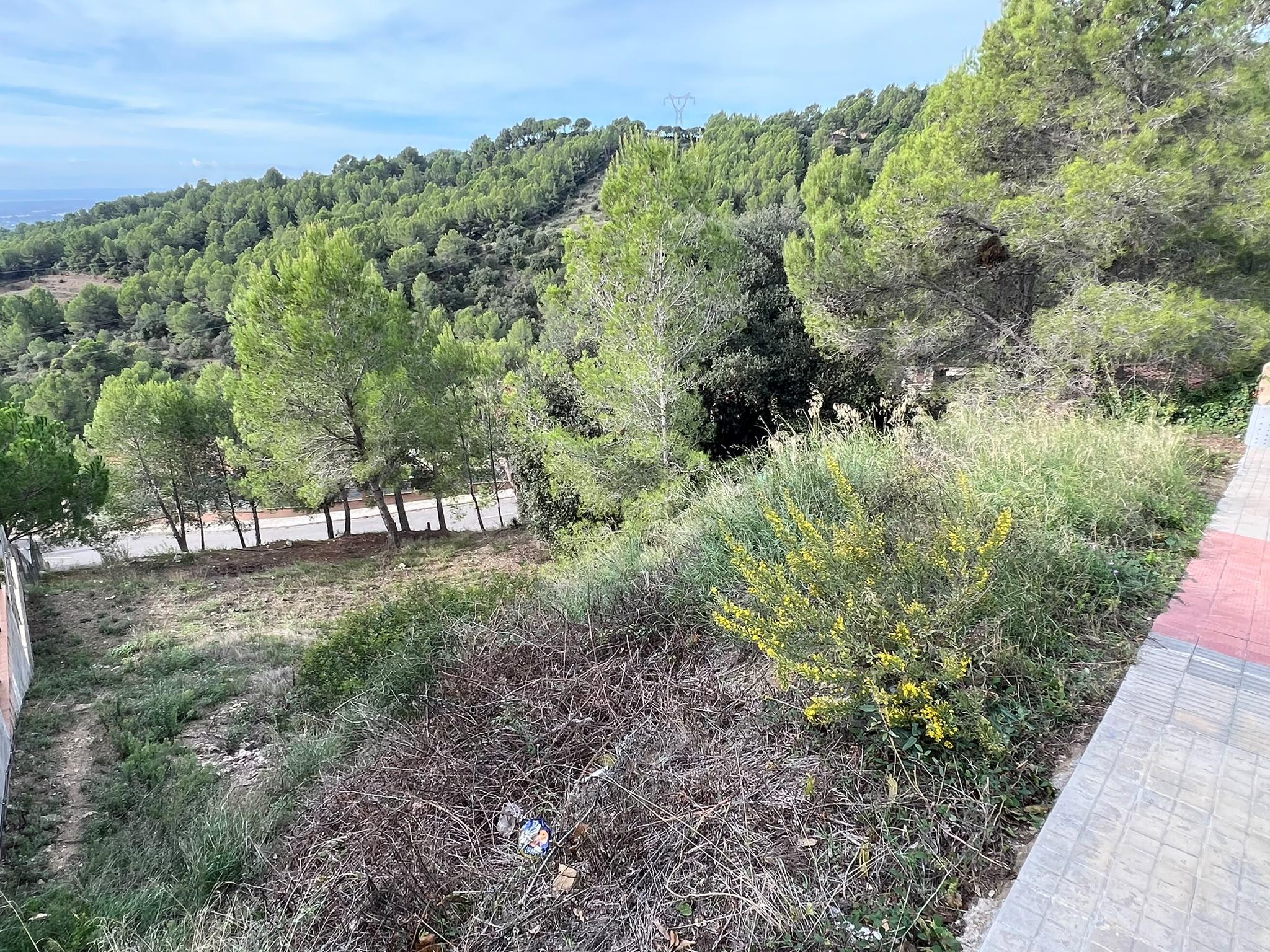 Imagen 5 Solar Urbano en venta en Almoster / Urbanización Picarany
