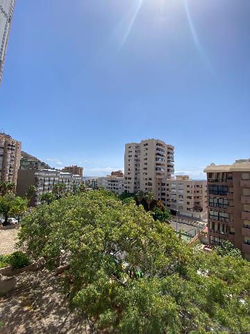 Imagen 10 Inmueble 276059 - Apartamento en alquiler en Santa Cruz De Tenerife / Residencial Anaga. La zona más exclusi...