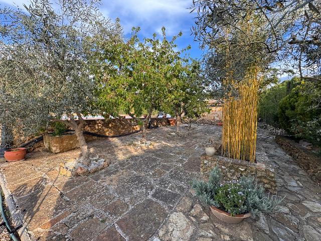 Imagen 13 Inmueble 263607 - Casa Rústica en venta en Villanueva Del Trabuco / Malaga Finca Espectacular