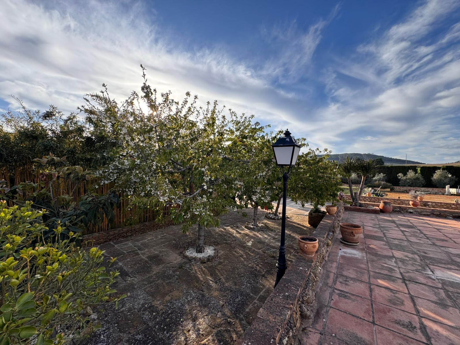 Imagen 6 Casa Rústica en venta en Villanueva Del Trabuco / Malaga Finca Espectacular