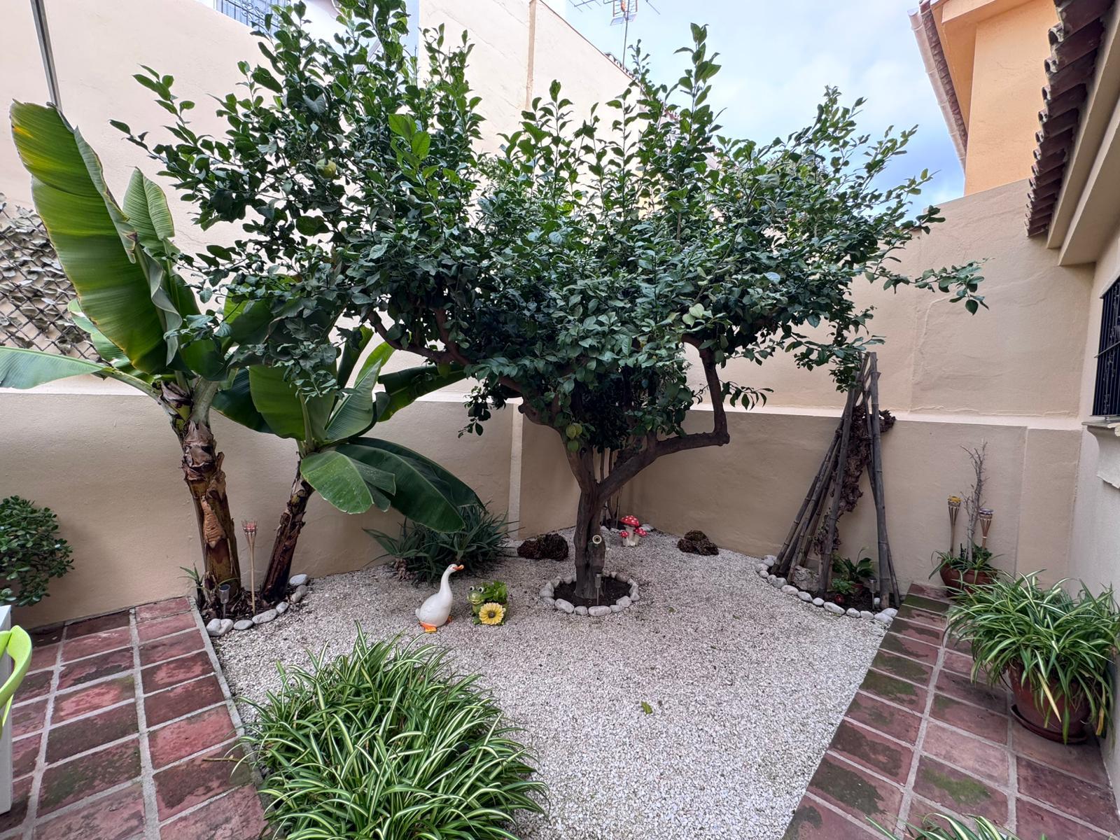 Imagen 3 Casa Adosada en venta en Málaga / Centro Histórico de Málaga. Ciudad jardin