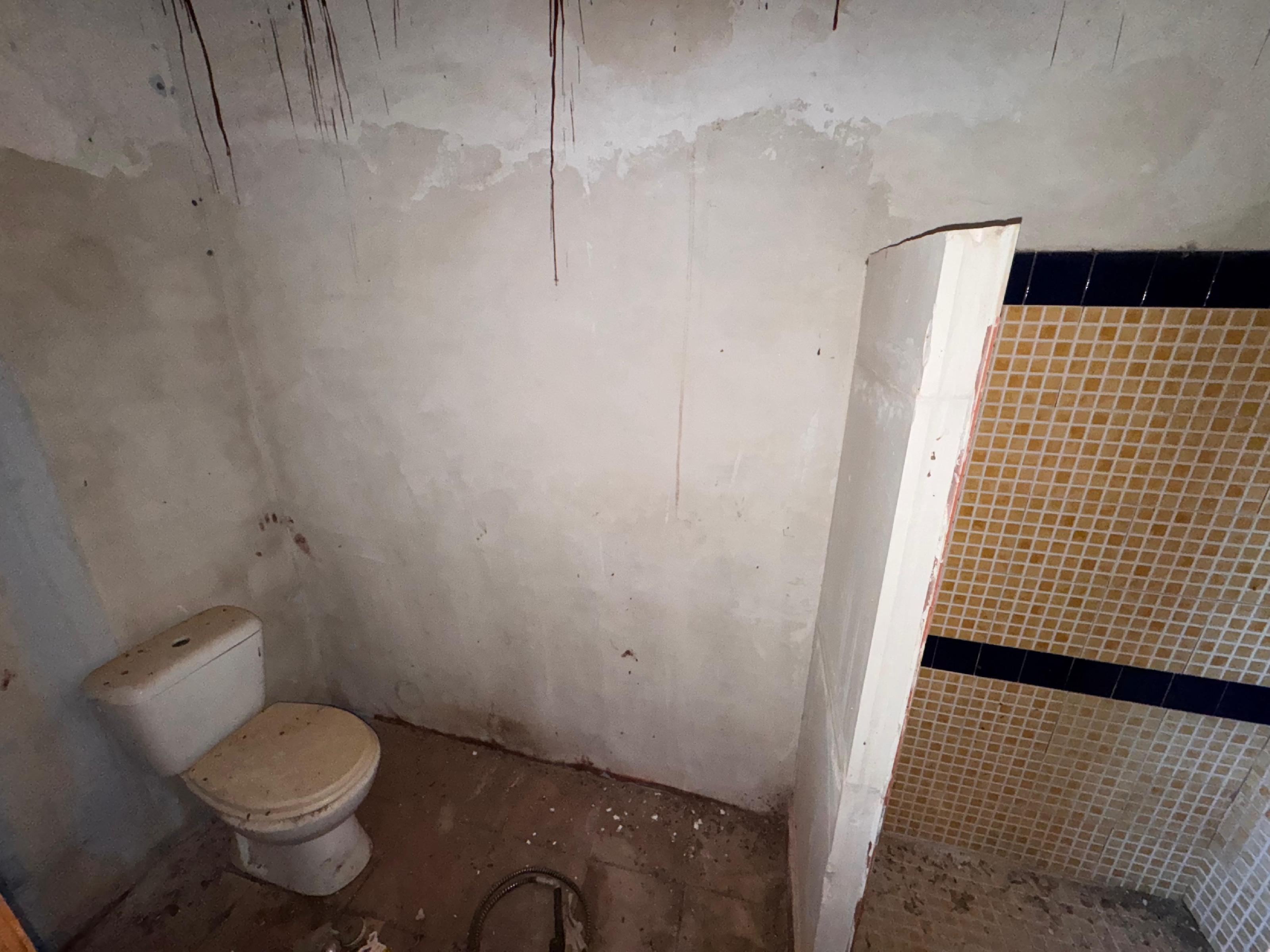 Imagen 20 Casa Rústica en venta en Málaga / Finca Carlinda - cerca del centro de Malaga