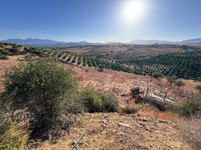 Imagen 3 Inmueble 266554 - Apartamento en alquiler en Málaga / Puerto la torre - Málaga