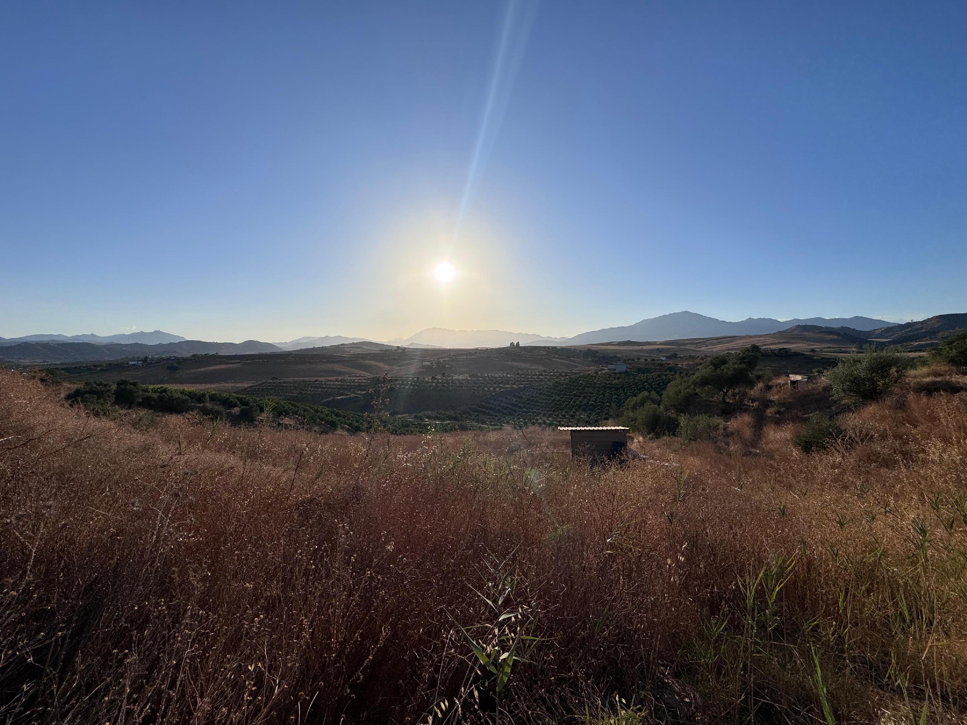 Imagen 7 Apartamento en alquiler en Málaga / Puerto la torre - Málaga