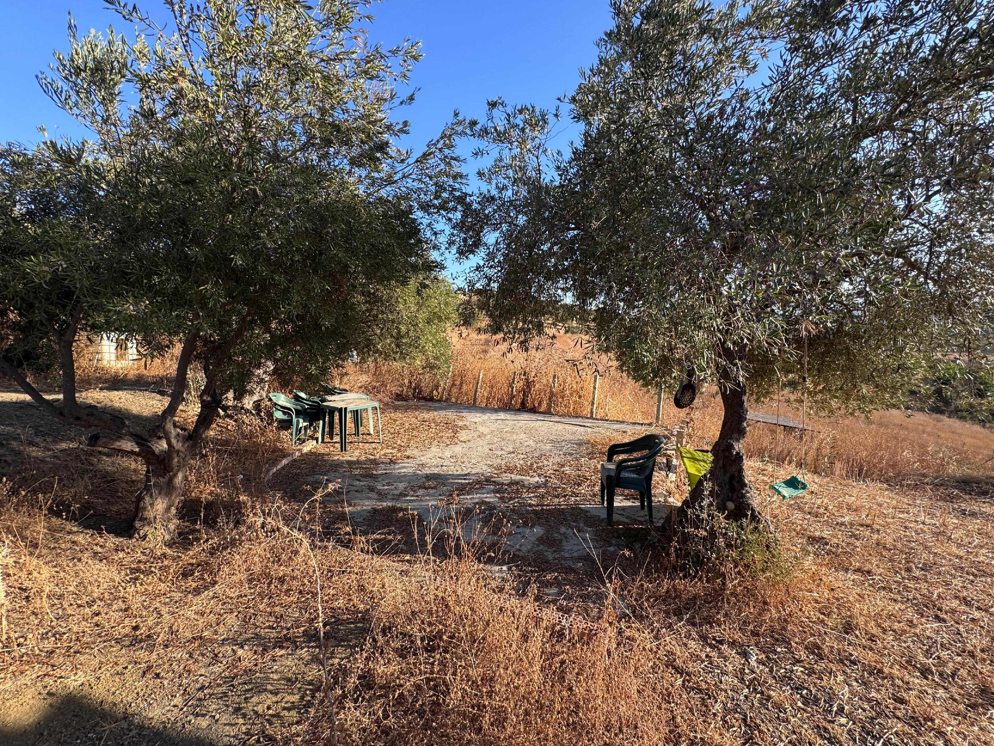 Imagen 4 Apartamento en alquiler en Málaga / Puerto la torre - Málaga