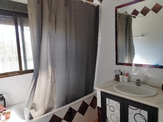 Imagen 34 Inmueble 304125 - Casa Rústica en venta en Almadén De La Plata / Finca de 5 hectáreas con casa rústica en pa...