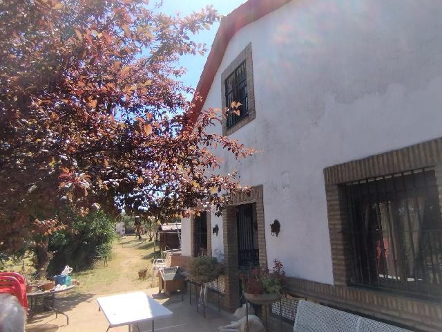Imagen 2 Inmueble 304125 - Casa Rústica en venta en Almadén De La Plata / Finca de 5 hectáreas con casa rústica en pa...