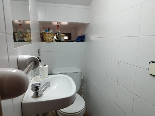 Imagen 22 Inmueble 304125 - Casa Rústica en venta en Almadén De La Plata / Finca de 5 hectáreas con casa rústica en pa...