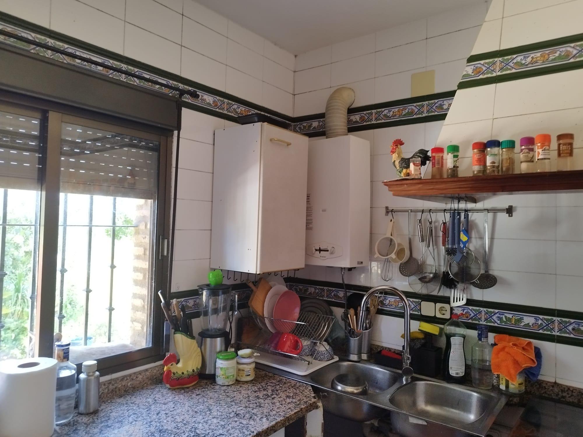 Imagen 27 Casa Rústica en venta en Almadén De La Plata / Finca de 5 hectáreas con casa rústica en pa...