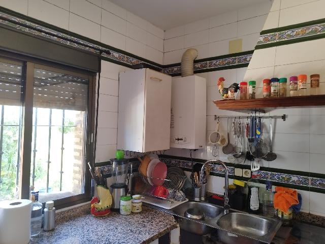 Imagen 27 Inmueble 304125 - Casa Rústica en venta en Almadén De La Plata / Finca de 5 hectáreas con casa rústica en pa...