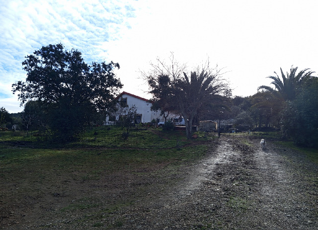 Imagen 1 Inmueble 304125 - Casa Rústica en venta en Almadén De La Plata / Finca de 5 hectáreas con casa rústica en pa...
