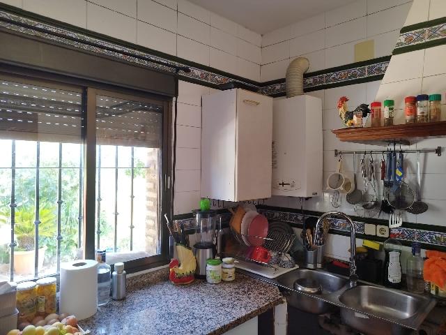 Imagen 28 Inmueble 304125 - Casa Rústica en venta en Almadén De La Plata / Finca de 5 hectáreas con casa rústica en pa...