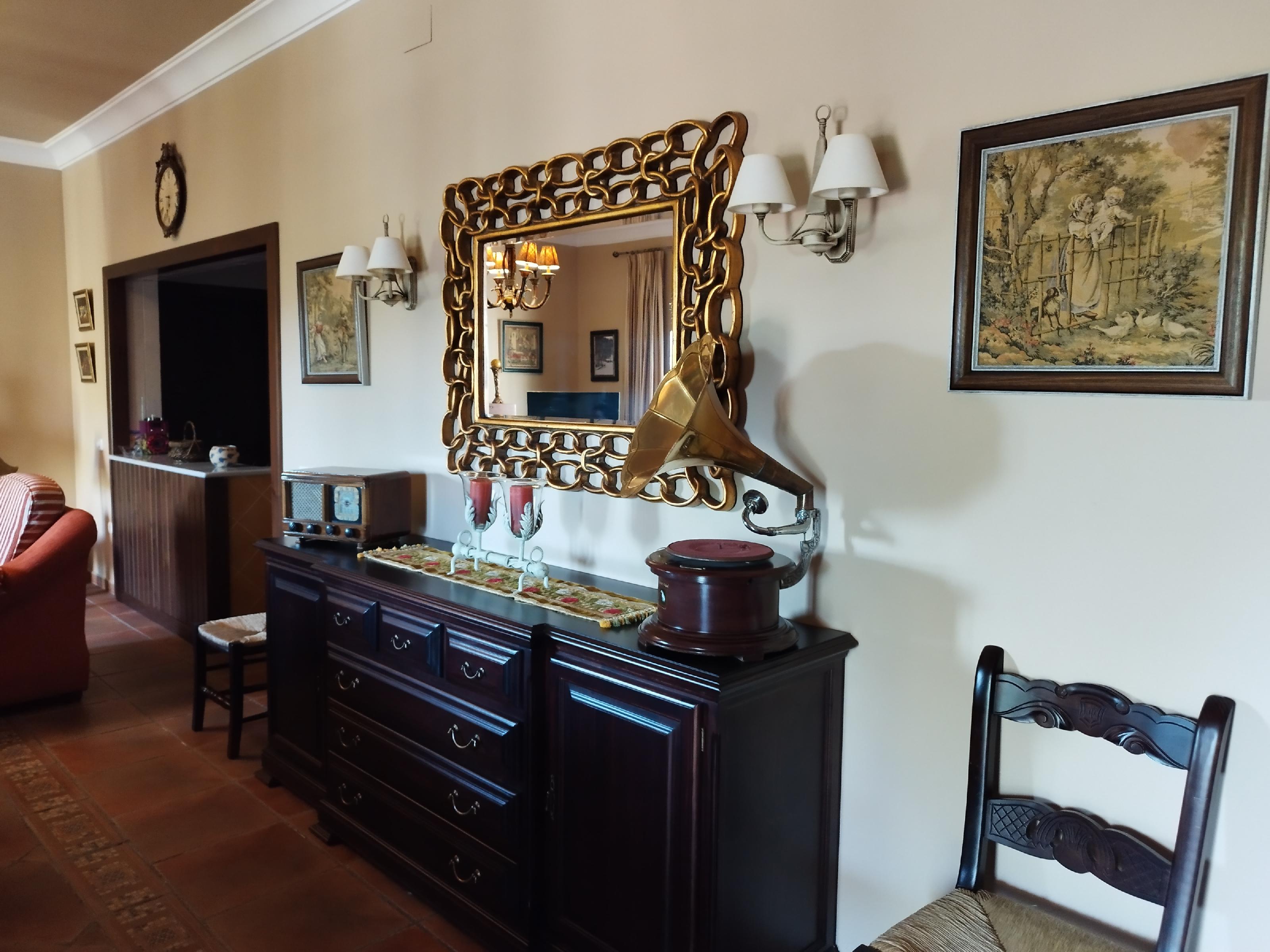 Imagen 14 Casa Rústica en venta en Berlanga / En la carretera de Maguilla en el Pozo de la Milla