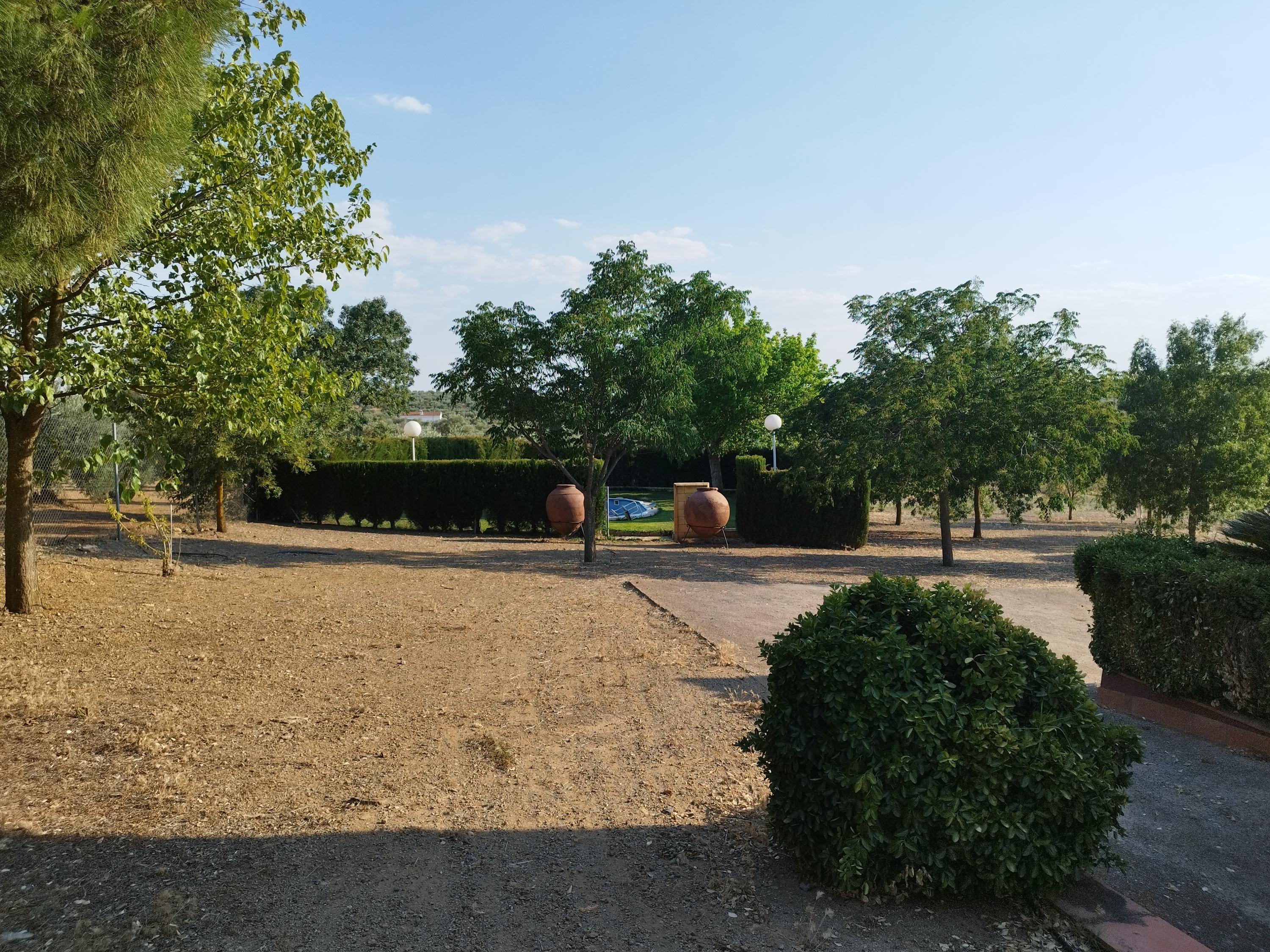 Imagen 7 Casa Rústica en venta en Berlanga / En la carretera de Maguilla en el Pozo de la Milla