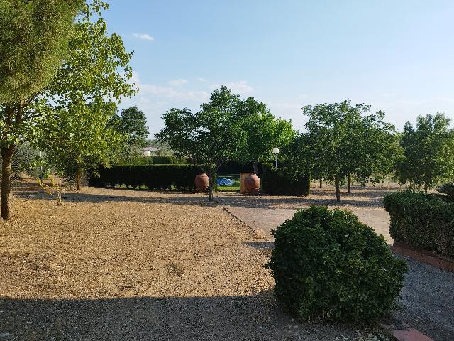Imagen 7 Inmueble 304327 - Casa Rústica en venta en Berlanga / En la carretera de Maguilla en el Pozo de la Milla
