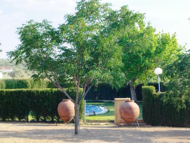 Imagen 8 Inmueble 304327 - Casa Rústica en venta en Berlanga / En la carretera de Maguilla en el Pozo de la Milla