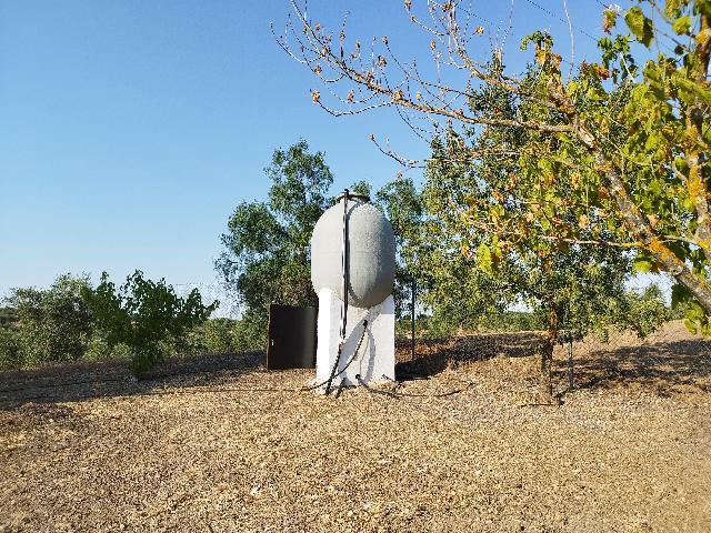 Imagen 12 Inmueble 304327 - Casa Rústica en venta en Berlanga / En la carretera de Maguilla en el Pozo de la Milla