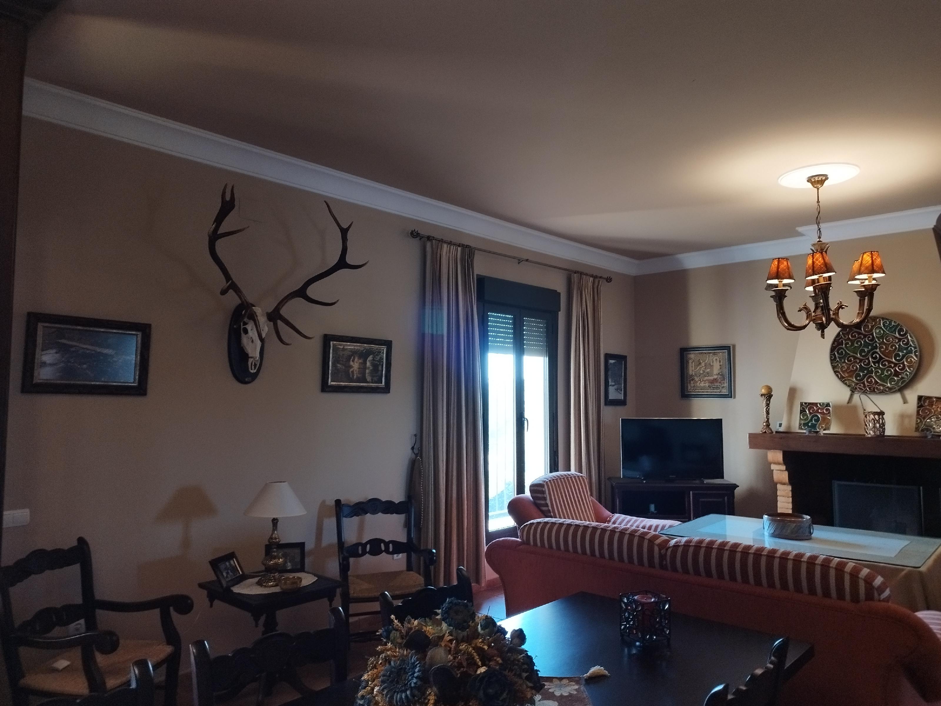 Imagen 15 Casa Rústica en venta en Berlanga / En la carretera de Maguilla en el Pozo de la Milla