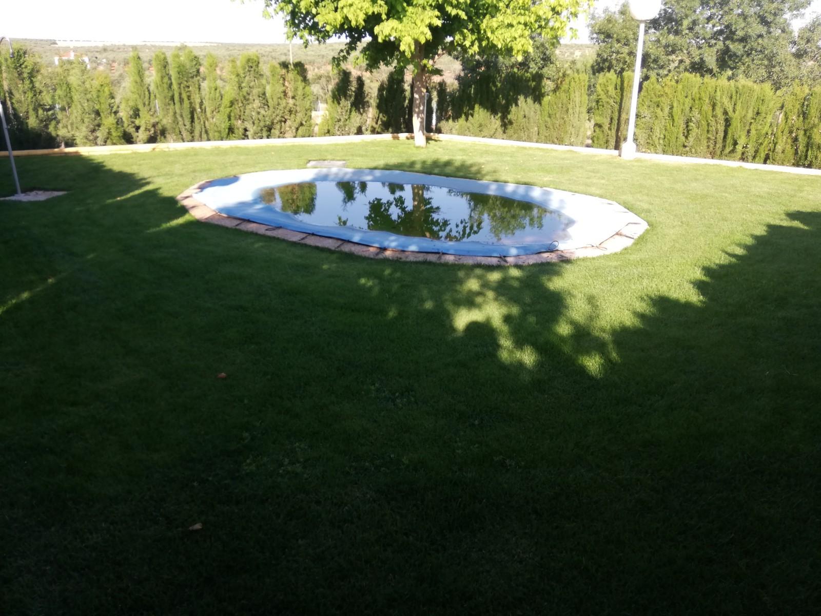 Imagen 10 Casa Rústica en venta en Berlanga / En la carretera de Maguilla en el Pozo de la Milla