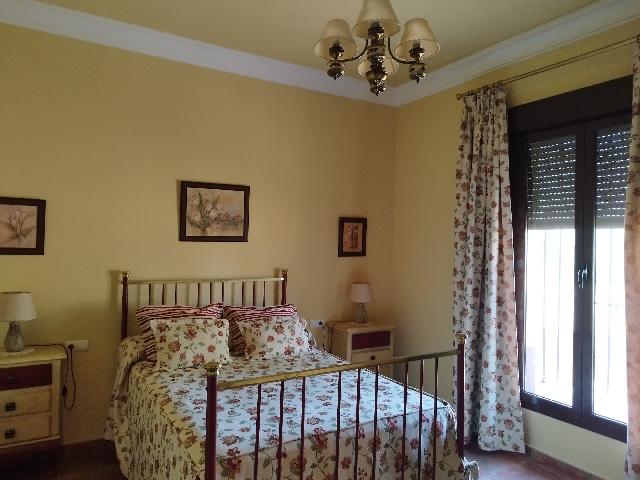 Imagen 29 Inmueble 304327 - Casa Rústica en venta en Berlanga / En la carretera de Maguilla en el Pozo de la Milla