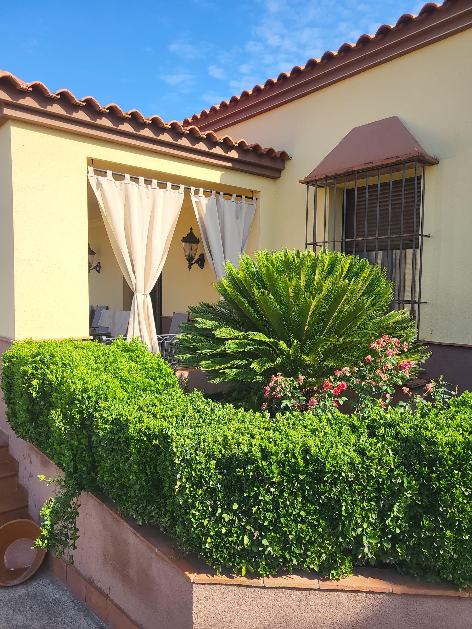Imagen 6 Casa Rústica en venta en Berlanga / En la carretera de Maguilla en el Pozo de la Milla
