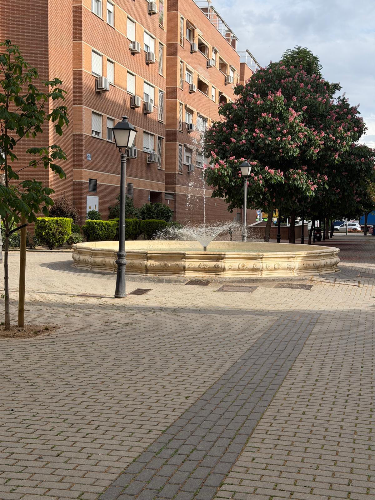 Imagen 22 Piso en venta en Torrejón De Ardoz / A cinco minutos de la Renfe de Torrejón de Ardoz.