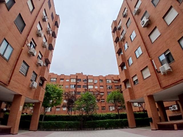 Imagen 27 Inmueble 305155 - Piso en venta en Torrejón De Ardoz / A tan solo tres minutos andando del parque El Juncal.