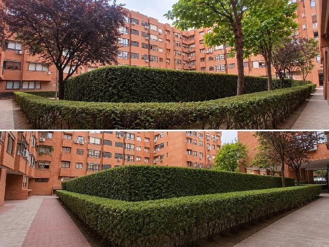 Imagen 28 Inmueble 305155 - Piso en venta en Torrejón De Ardoz / A tan solo tres minutos andando del parque El Juncal.