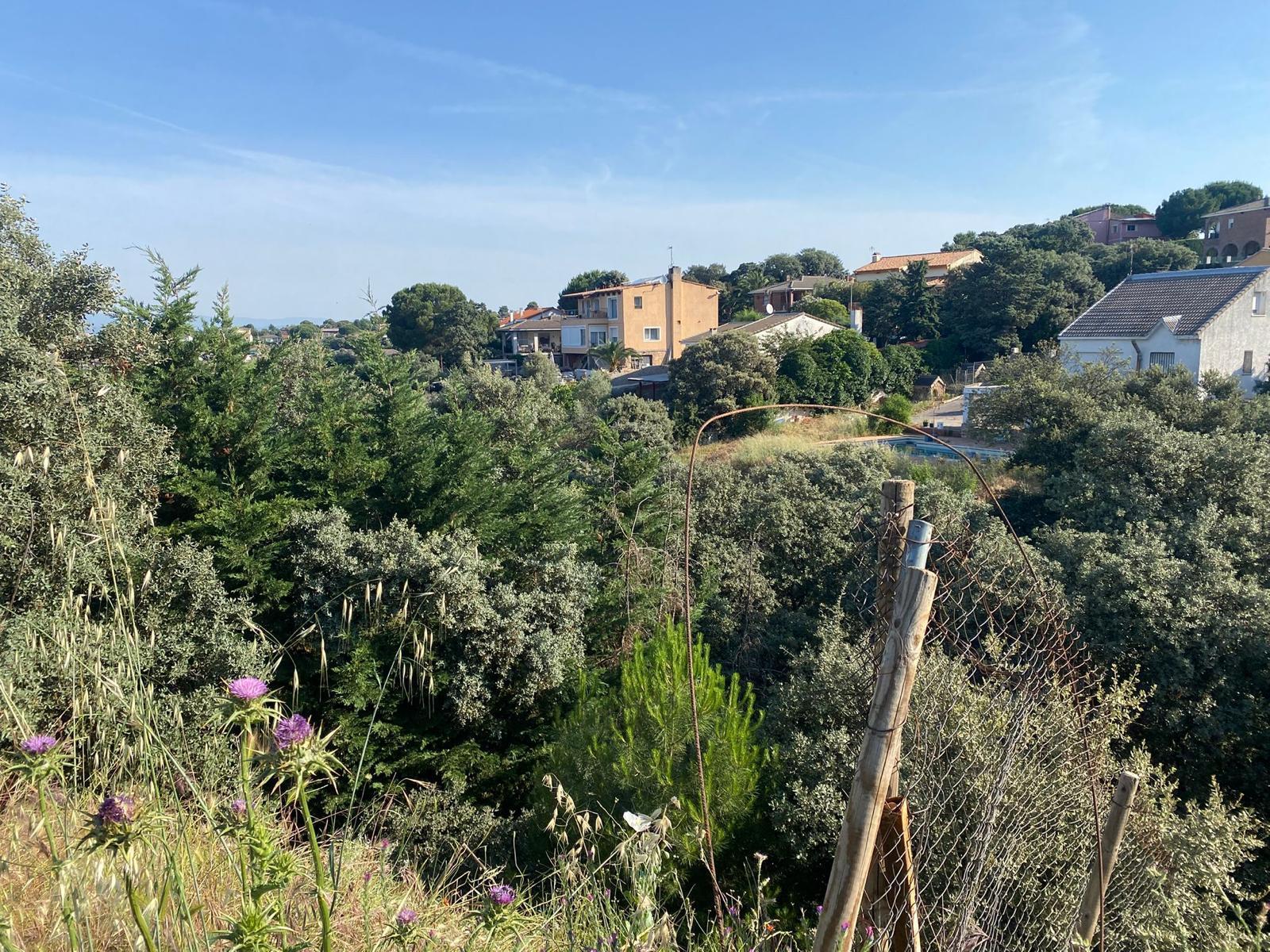 Imagen 4 Solar Urbano en venta en Casar El / En Urbanización Las Colinas en el Casar.