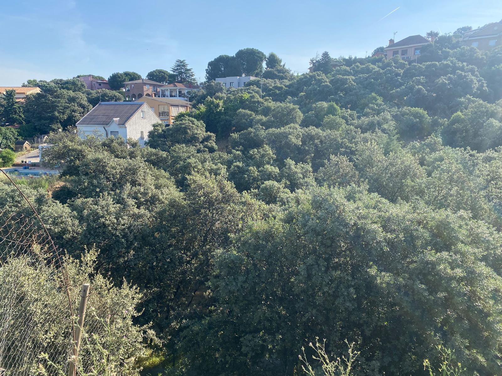 Imagen 8 Solar Urbano en venta en Casar El / En Urbanización Las Colinas en el Casar.