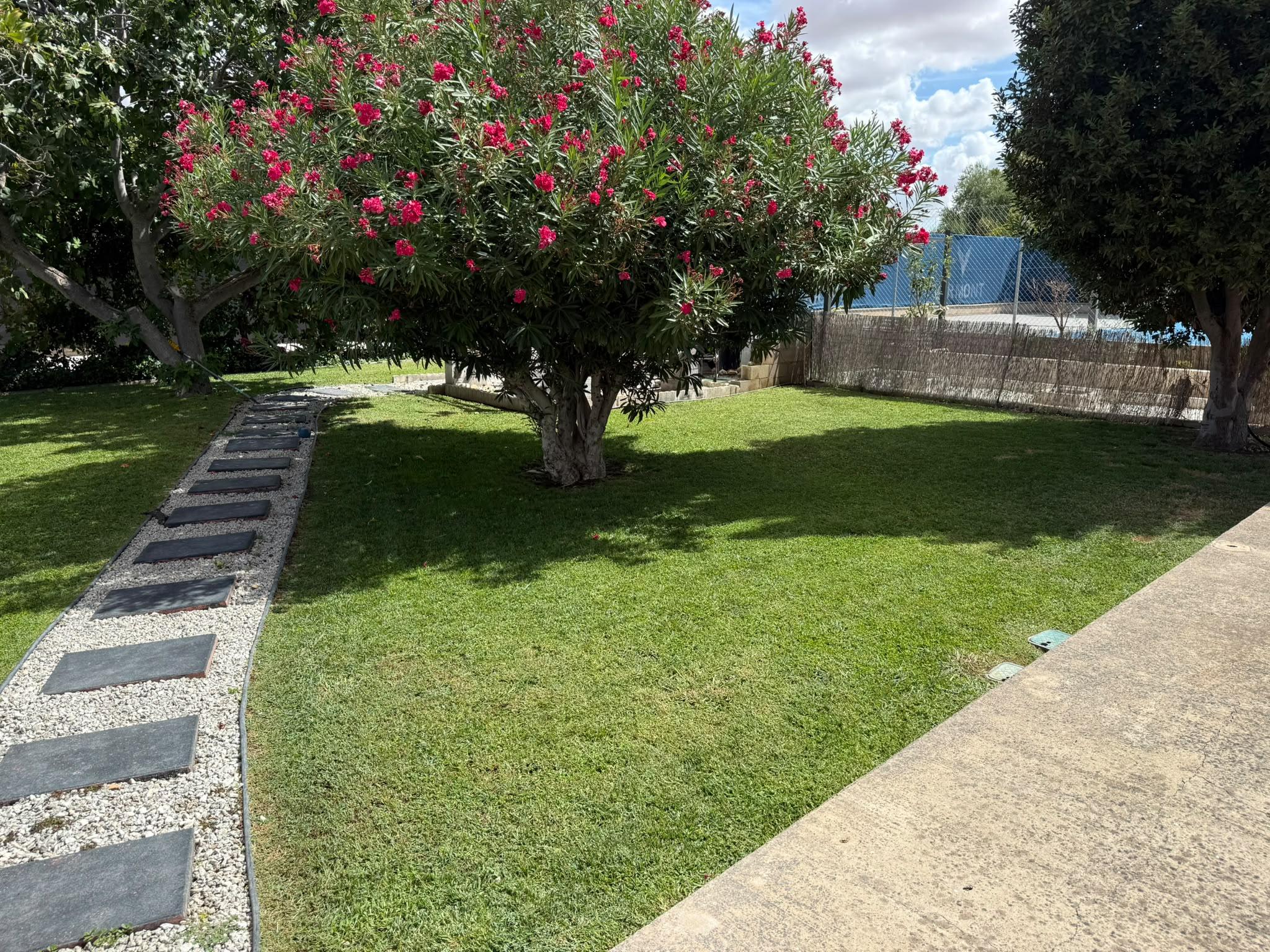 Imagen 1 Casa en venta en Valdetorres De Jarama / A 30 min de Madrid, en un entorno tranquilo.