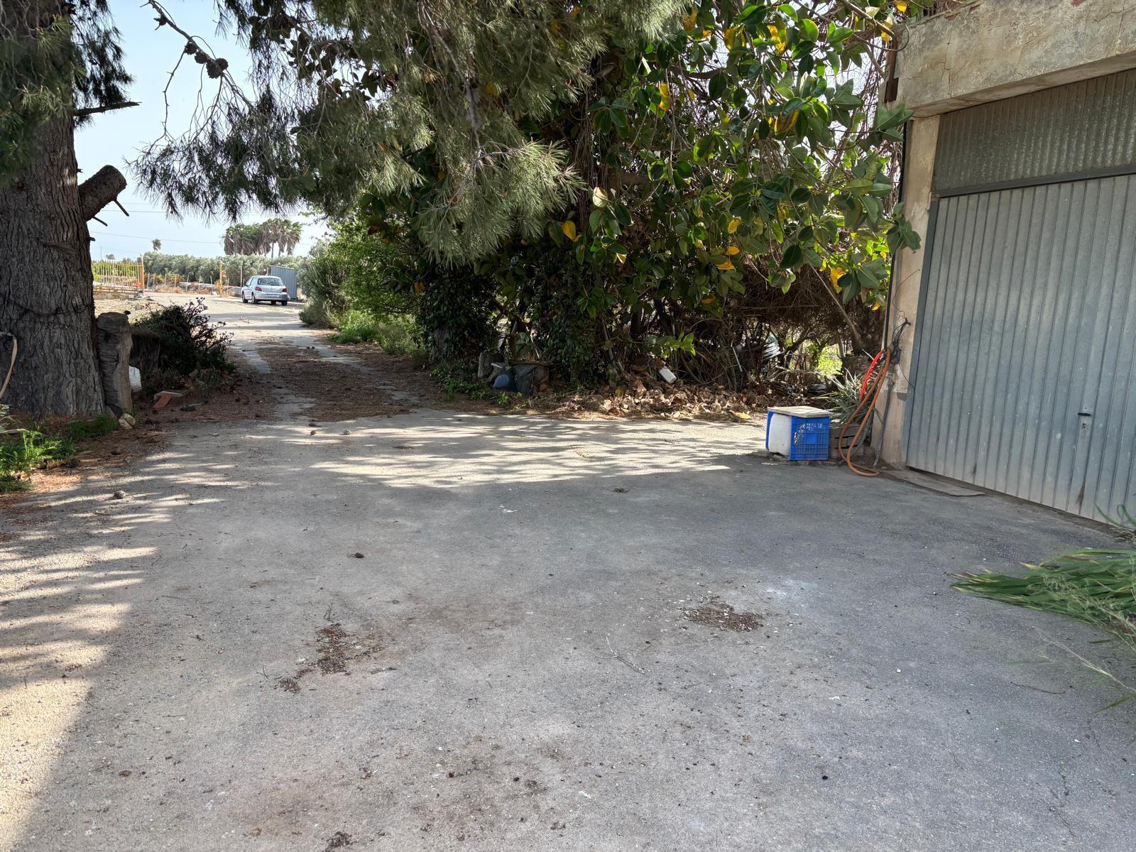 Imagen 4 Casa Aislada en venta en Elche/elx / Carretera de dolores campo vayado 